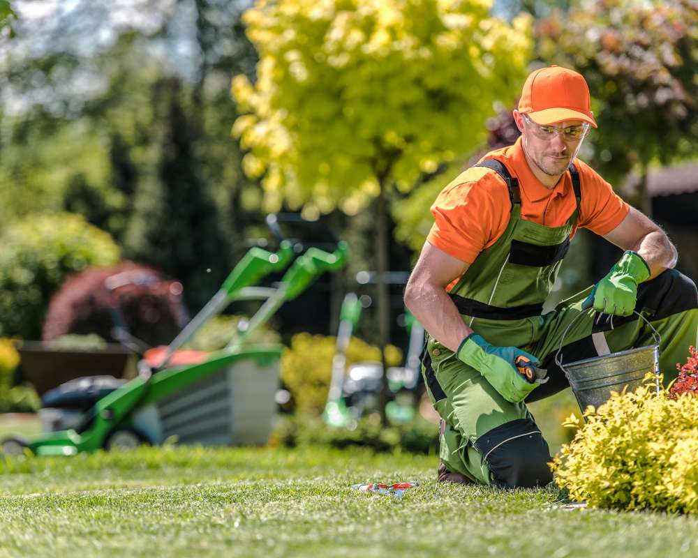 Professional Caucasian Gardener in His 30s and the Beautiful Residential Backyard Garden. Summer Time Maintenance.